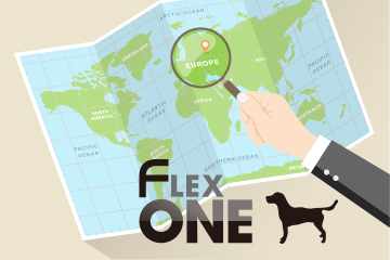 「国・地域ターゲティング機能」とは？FlexOne®による活用方法も詳しく解説